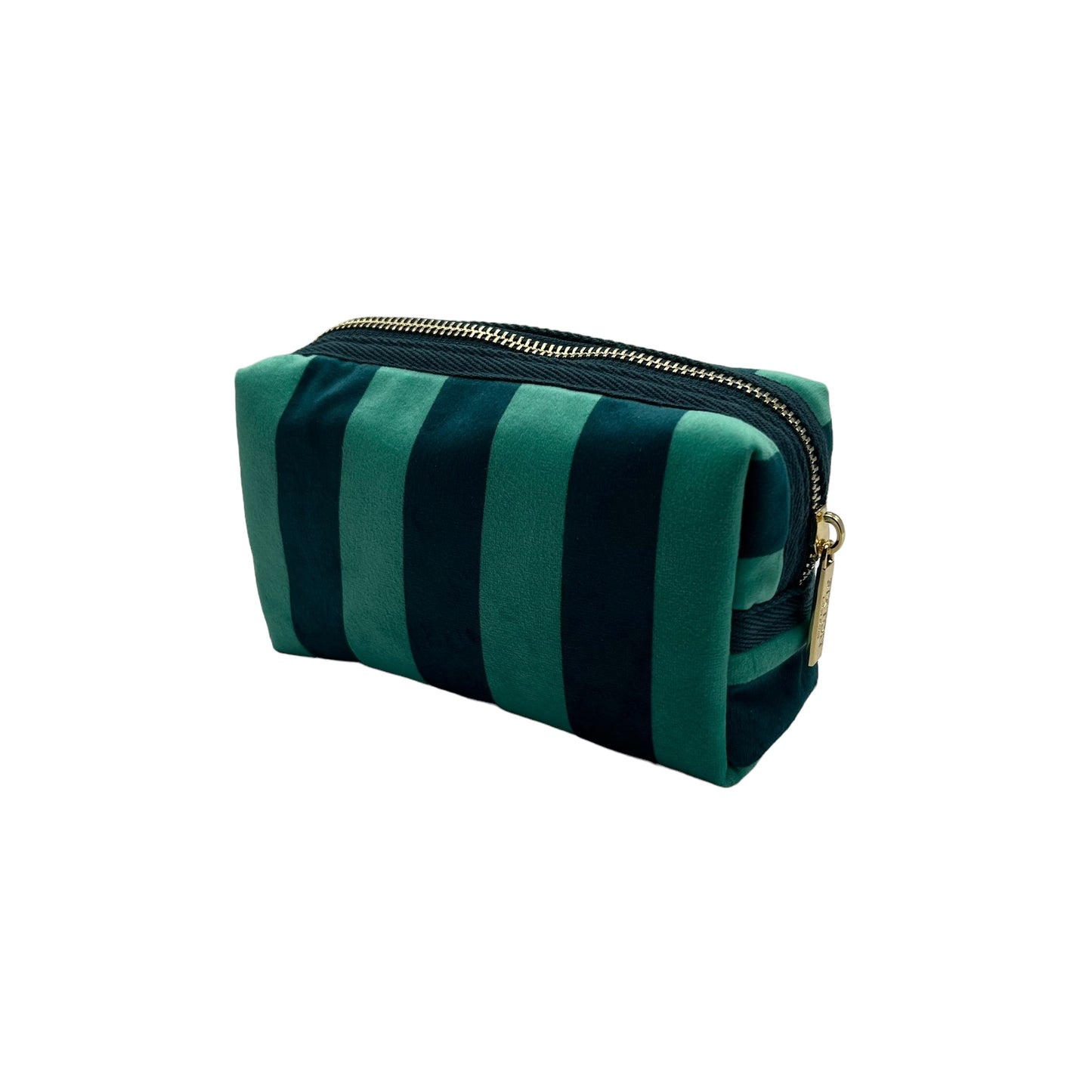 Teal stripe makeup bag with Royal Blue Insect pin