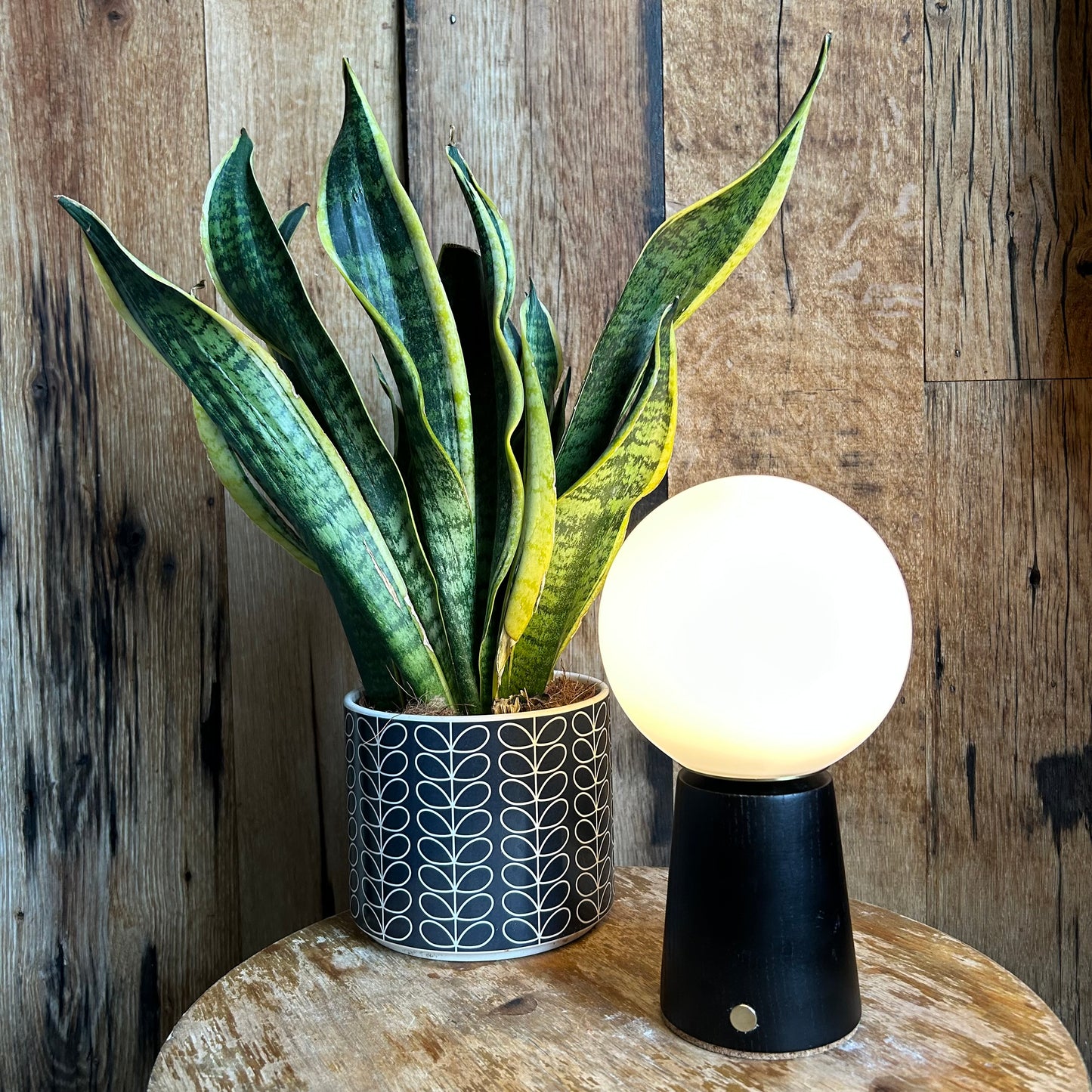 Small Deco Cone Charcoal style rechargeable touch lamp
